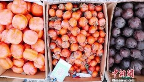 为什么东北人通常身材高大,东北人为什么比山东人胖