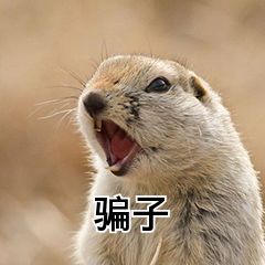 网络钓鱼诈骗手段有哪些,网络钓鱼诈骗七种手段