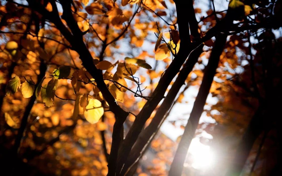 央视祖国大好河山常用的背景音乐,90年代央视上很好听的背景音乐