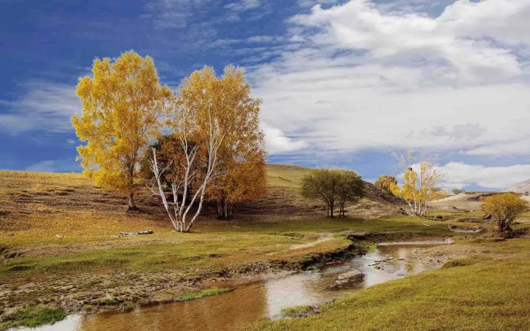 央视祖国大好河山常用的背景音乐,90年代央视上很好听的背景音乐
