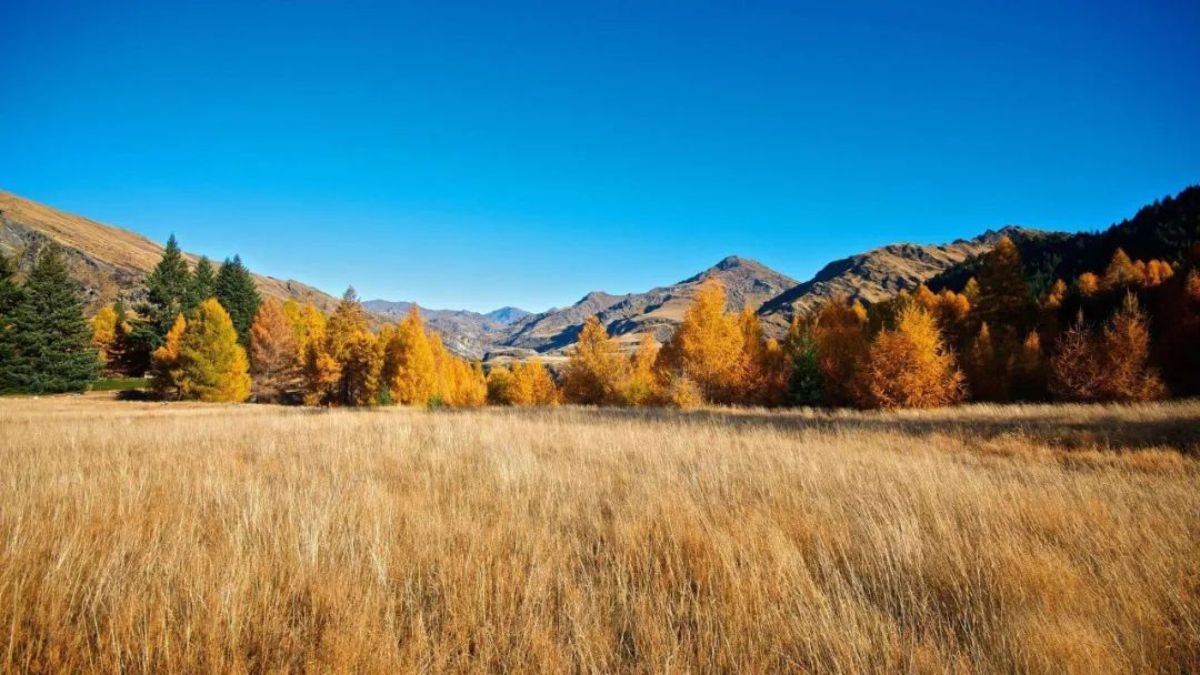 央视祖国大好河山常用的背景音乐,90年代央视上很好听的背景音乐