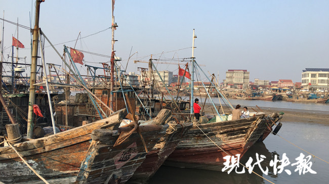 连云港海鲜直播带货赚多少钱一斤,连云港码头海鲜直播带货