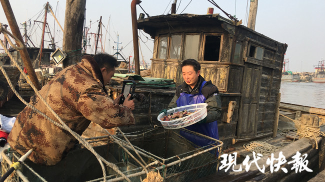 连云港海鲜直播带货赚多少钱一斤,连云港码头海鲜直播带货