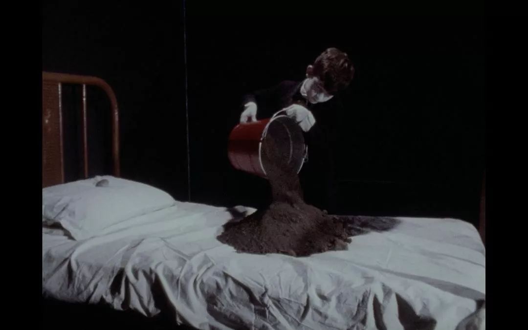 大卫林奇新怪谈,大卫林奇惊世之作