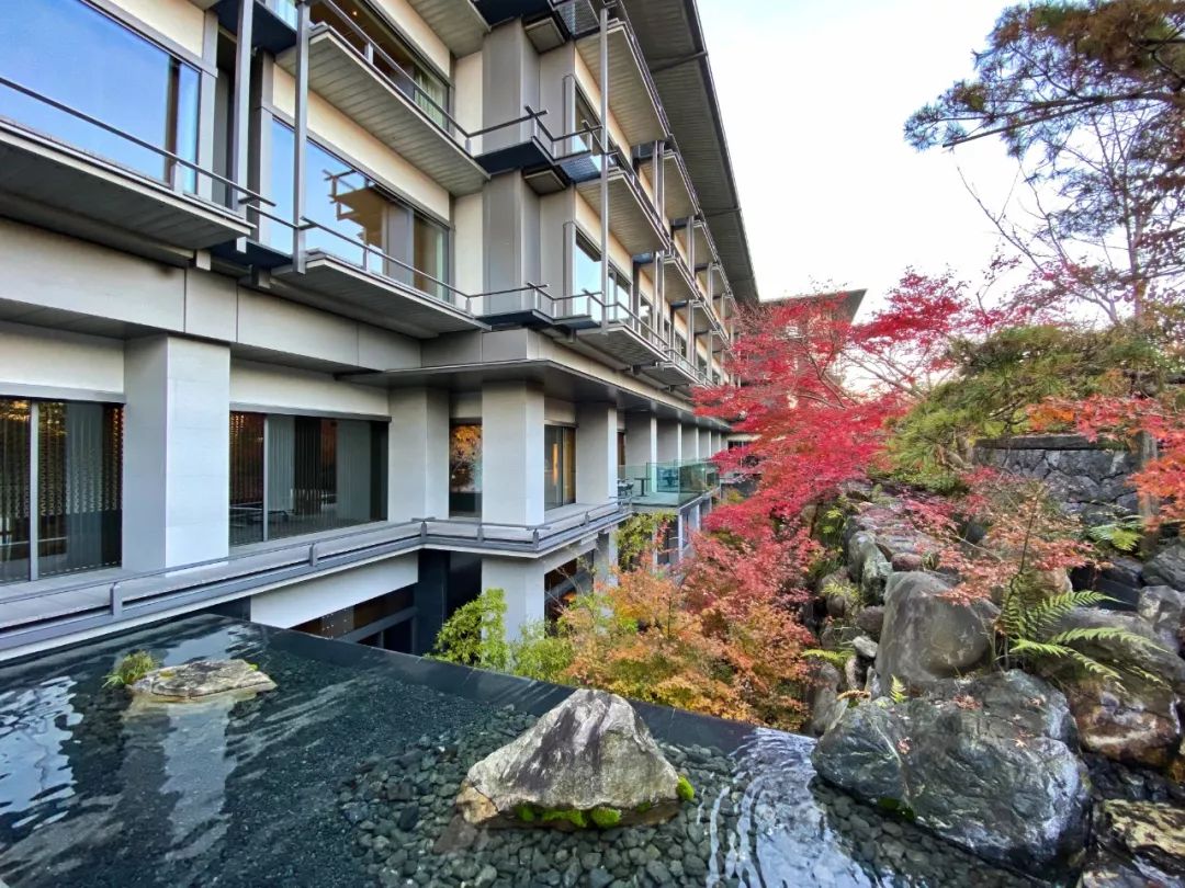 京都丽思当之无愧的亚洲旗舰,丽思京都