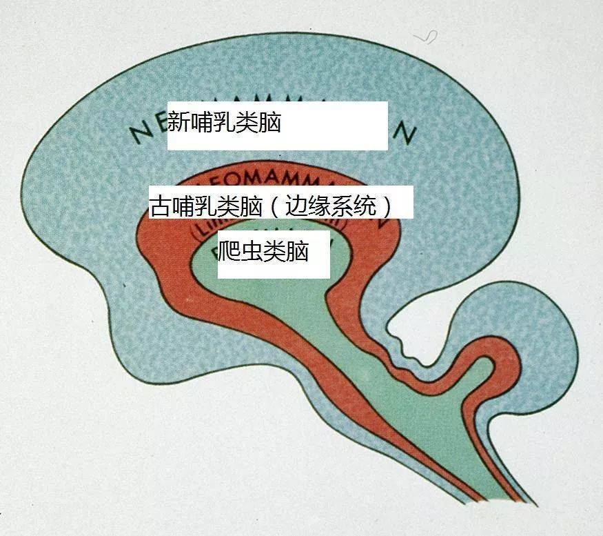 霹雳游侠和飞狼,霹雳游侠打败飞狼