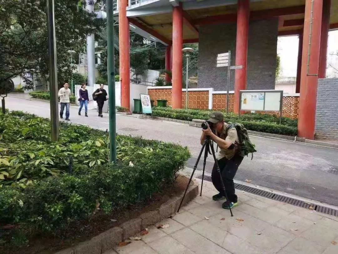 从天上看看你不曾见过的澳门,你没见过的图片