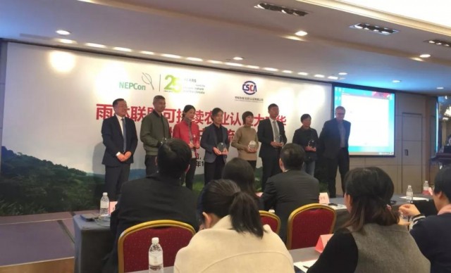 日照古风茶,最风雅的日照茶