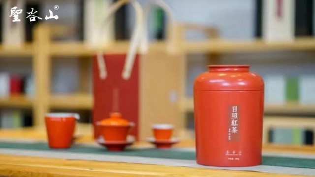 日照古风茶,最风雅的日照茶