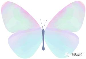 中式服装制作课程,十三太保棉坎肩