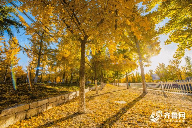 莱州市郭家店镇小草沟村,山东莱州郭家店小草沟村