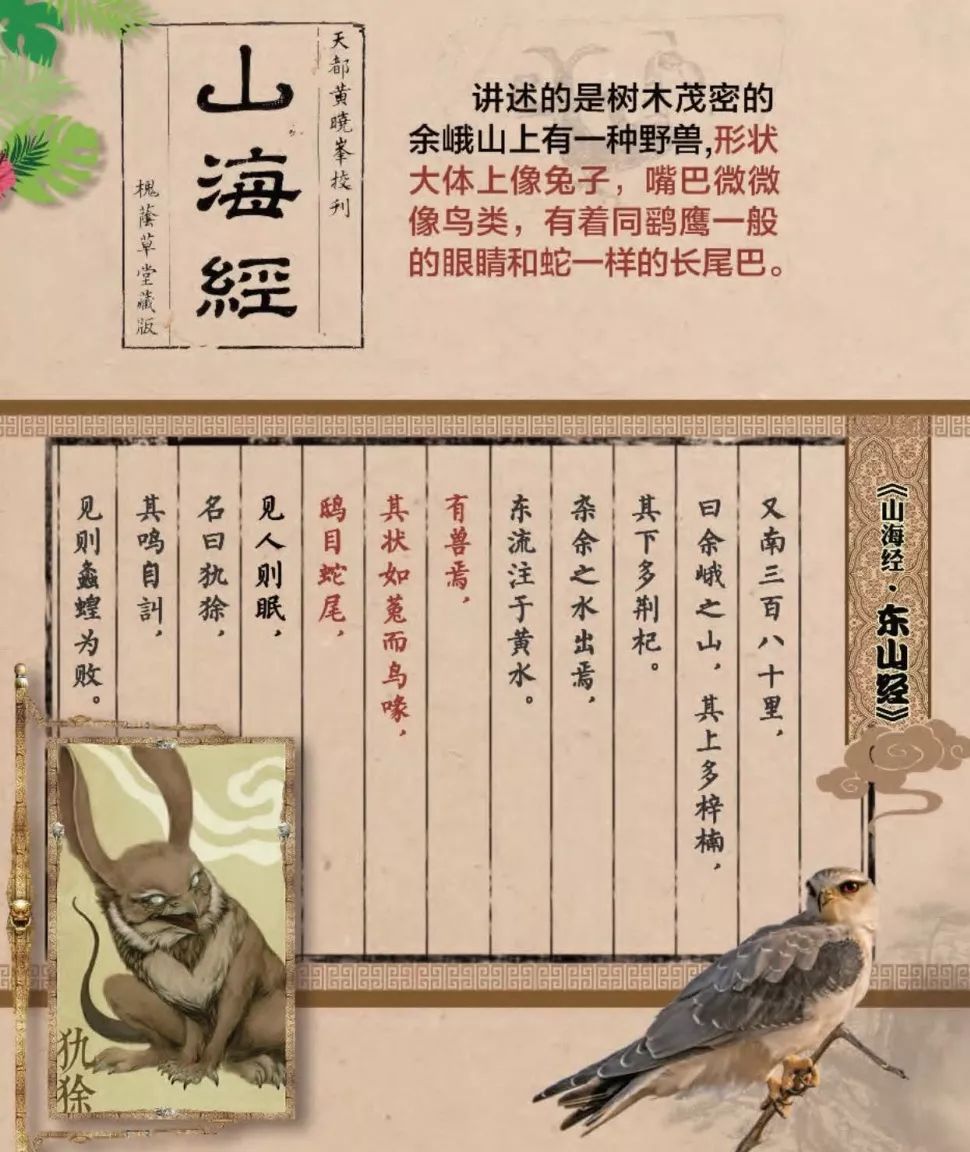 巴西世界杯吉祥物犰狳,巴西吉祥物世界杯