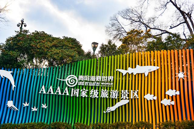 猝不及防闯入你的容颜｜你好，青岛