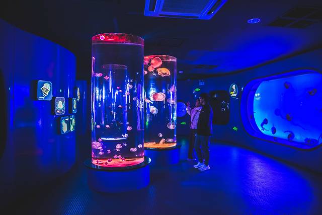 猝不及防闯入你的容颜｜你好，青岛