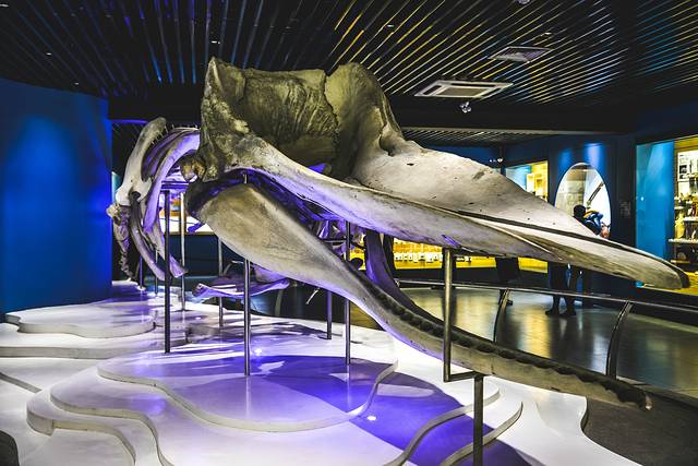 猝不及防闯入你的容颜｜你好，青岛