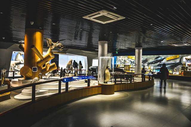 猝不及防闯入你的容颜｜你好，青岛