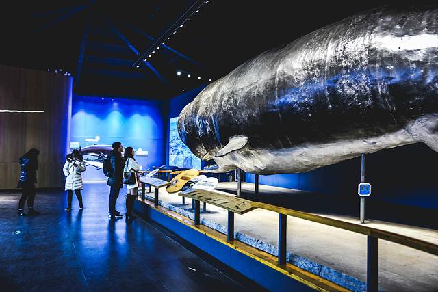 猝不及防闯入你的容颜｜你好，青岛