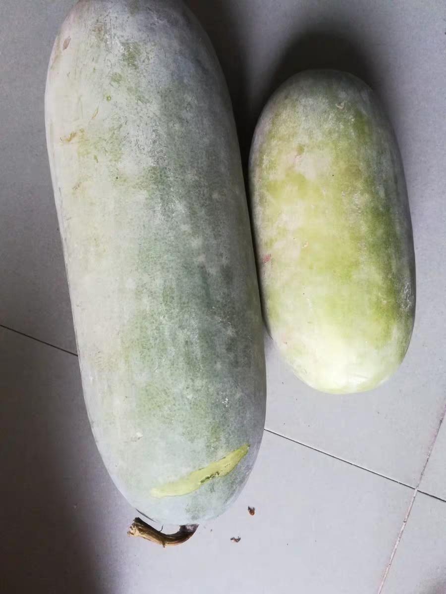 血糖高吃什么主食和蔬菜能降血糖,什么蔬菜比较软化血管又降血糖