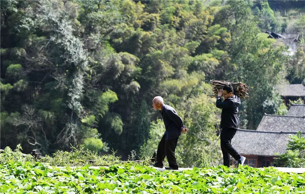 贵州脱贫攻坚基层干部,贵州干部脱贫攻坚一线