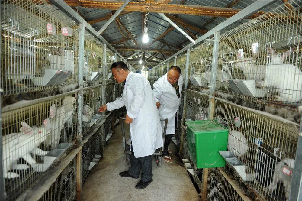 贵州脱贫攻坚基层干部,贵州干部脱贫攻坚一线