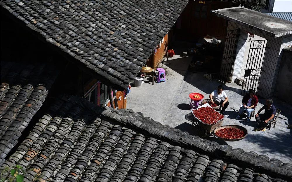 贵州脱贫攻坚基层干部,贵州干部脱贫攻坚一线