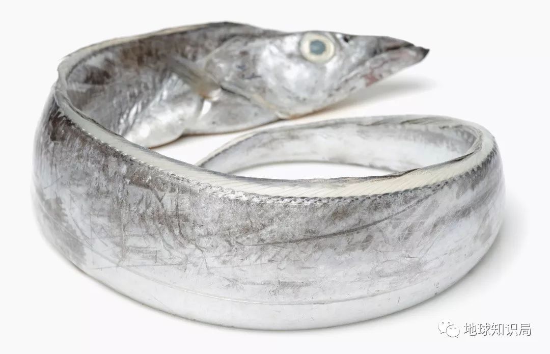 沿海人民是如何喂饱中国的？