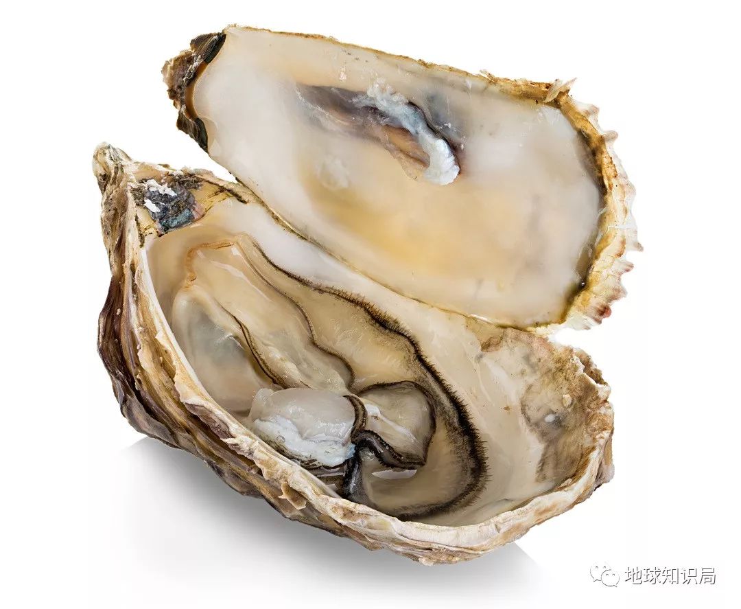 沿海人民是如何喂饱中国的？