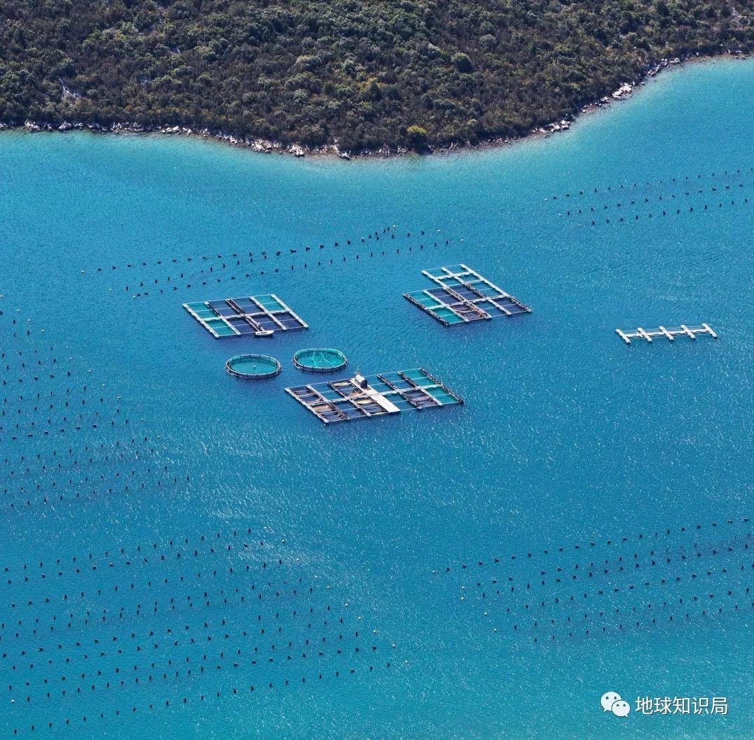 沿海人民是如何喂饱中国的？