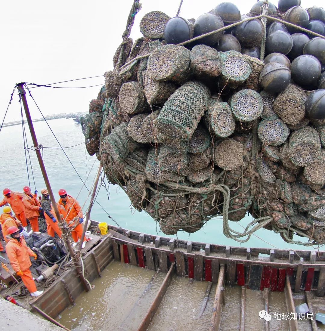 沿海人民是如何喂饱中国的？