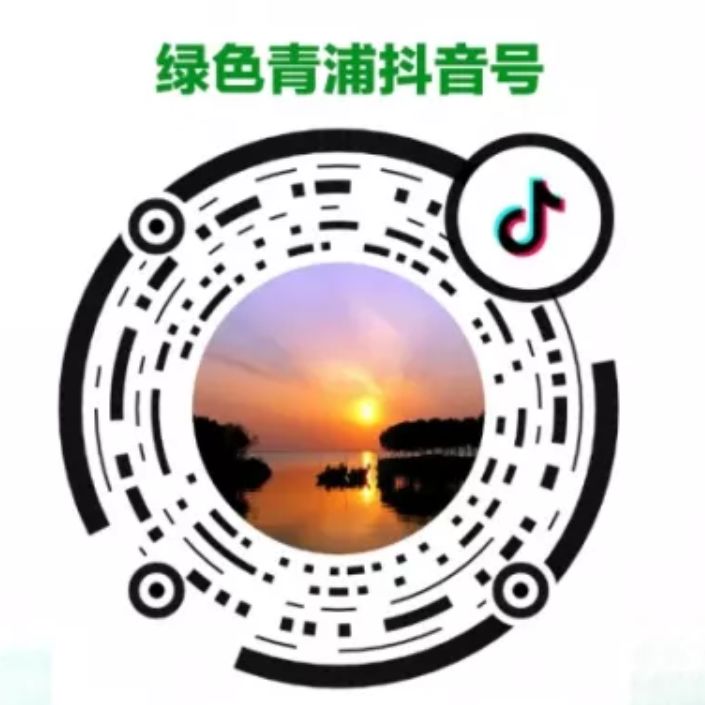 足球u9国青集训名单,足球招募队员u9