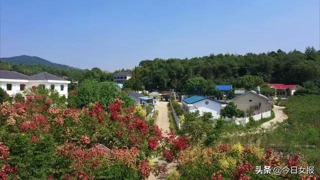 AA制，湖南7名家长为自家大龄自闭症孩子建起“星梦家园”