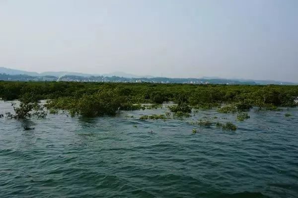 七彩贝丘湾海滩,七彩贝丘湾攻略