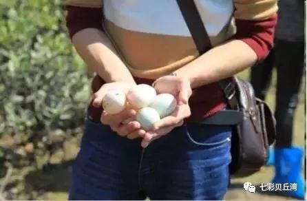 七彩贝丘湾海滩,七彩贝丘湾攻略