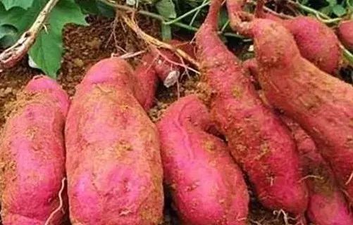 七彩贝丘湾海滩,七彩贝丘湾攻略