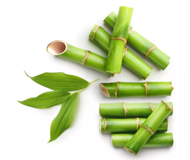 湿巾不能乱用，新西兰人这么操作...