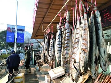 新年第一晒海边“晒鱼场”鱼干飘鲜香