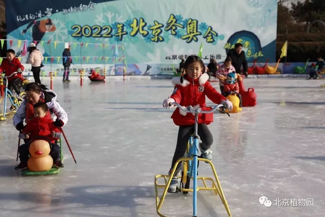 最新颐和园冰场,2024年颐和园冰场开了吗