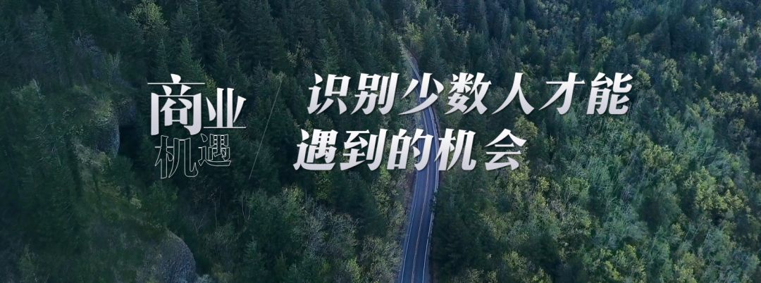 2019潜行者电视剧解说,2021年版潜行者