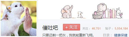 抖音大胃王4个月涨粉1400万！「浪胃仙」是怎么火起来的？