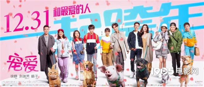 称霸元旦档的TA们，凭啥在银幕上备受宠爱？