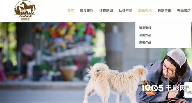 称霸元旦档的TA们，凭啥在银幕上备受宠爱？