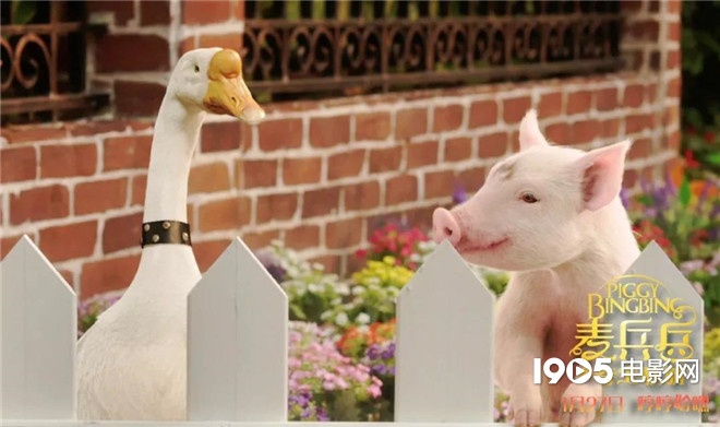 称霸元旦档的TA们，凭啥在银幕上备受宠爱？