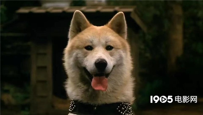 称霸元旦档的TA们，凭啥在银幕上备受宠爱？