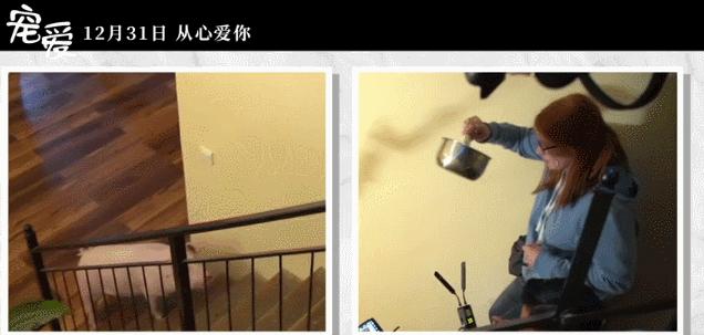 称霸元旦档的TA们，凭啥在银幕上备受宠爱？