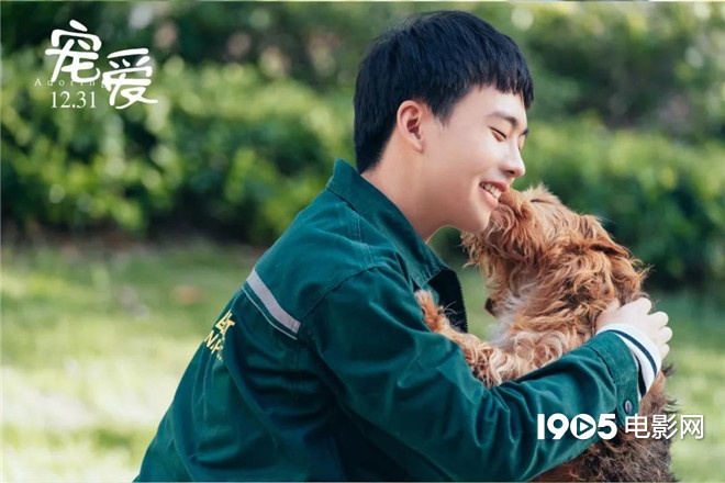 称霸元旦档的TA们，凭啥在银幕上备受宠爱？