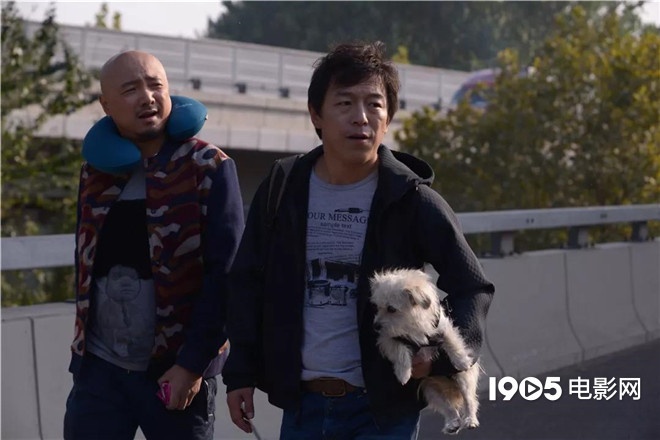 称霸元旦档的TA们，凭啥在银幕上备受宠爱？