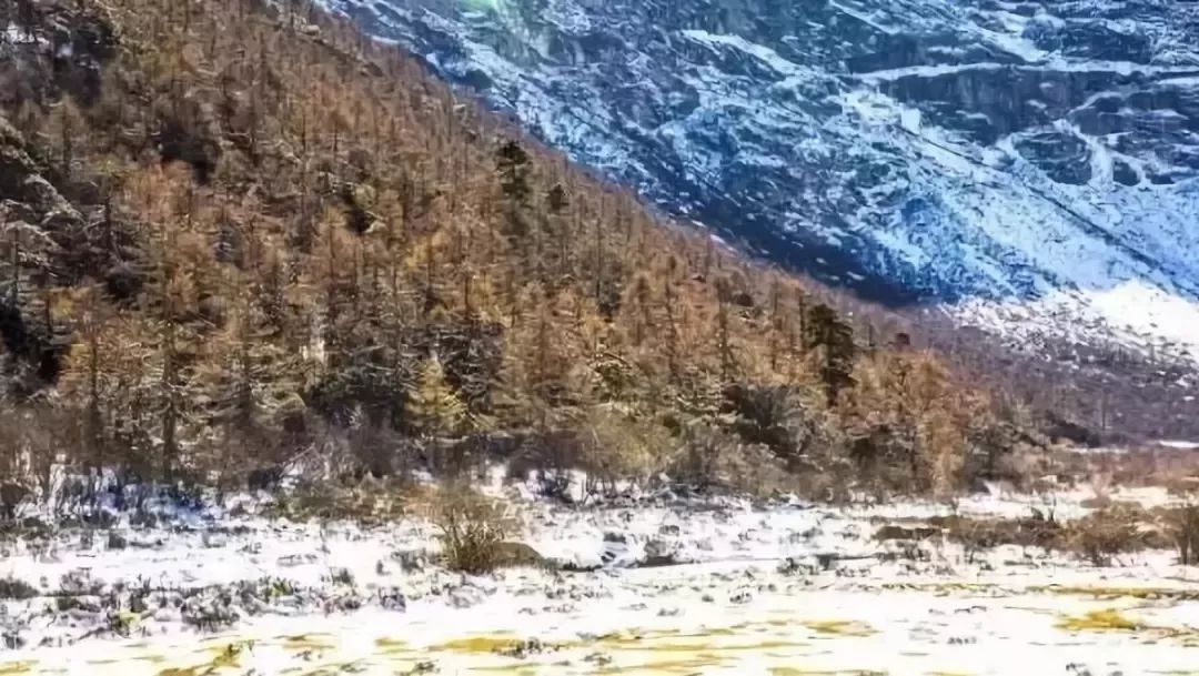 冬天的稻城亚丁,冬天的四川稻城亚丁旅游攻略