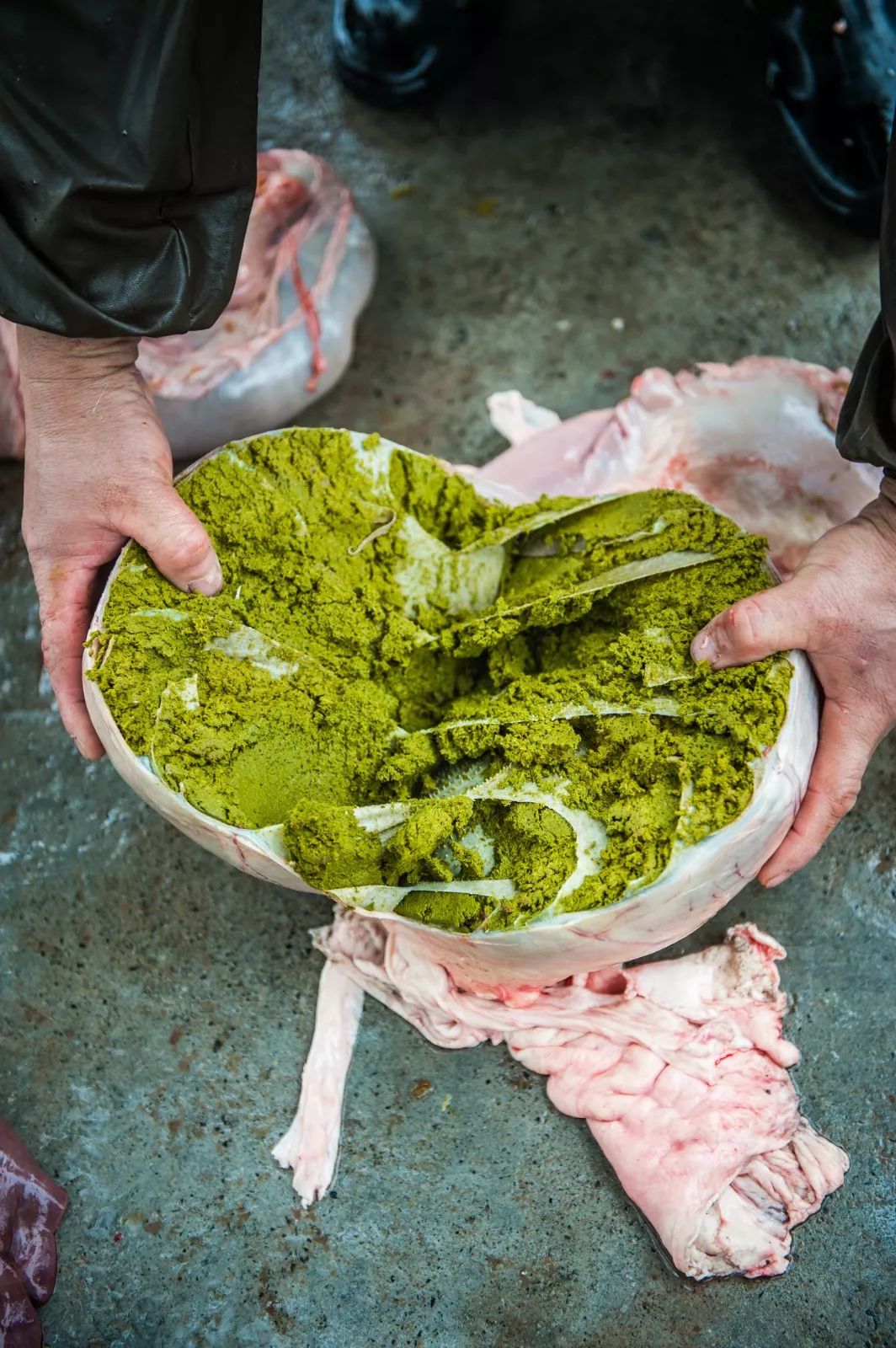 中国什么牛肉最好吃,中国哪个地方牛肉最好