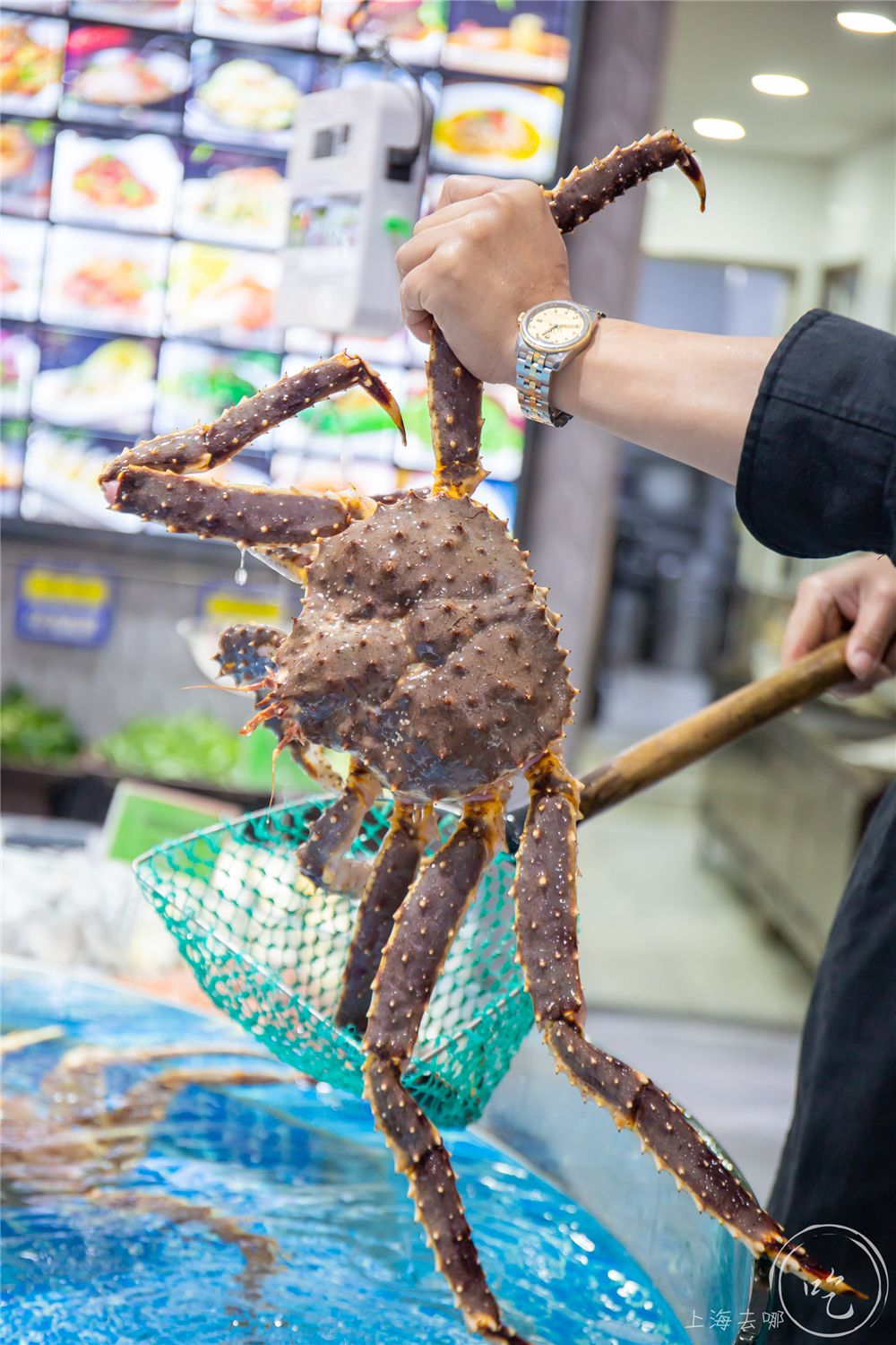 20道鲍鱼菜肴,12道火爆鲍鱼菜单及价格