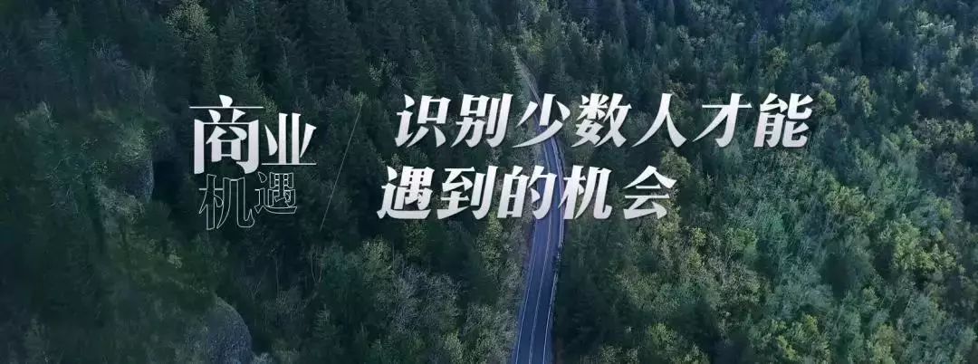 2019，突围；2020，潜行（下）